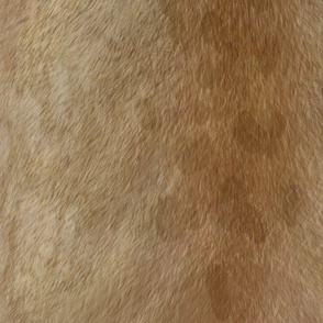 painted faux fur of a lion - large scale