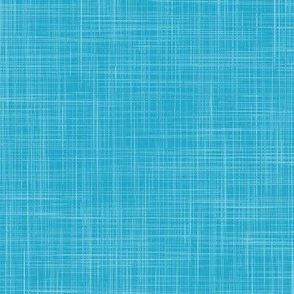Crosshatch Linen Texture Blender in Caribbean Blue