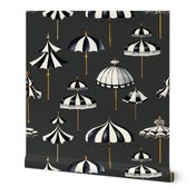 Victorian Umbrellas