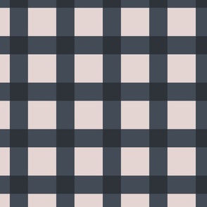 Clean and Simple Gingham: Blue and Palest Pink (Large Scale)