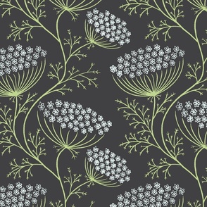 Queen Anne's Lace - dark gray background - large scale