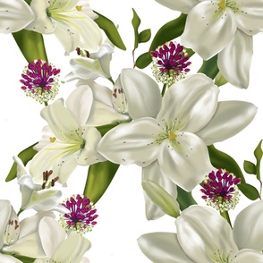 White lilies on white background