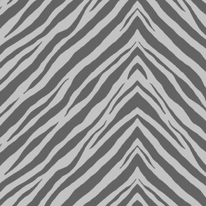 Gray zebra 24x24