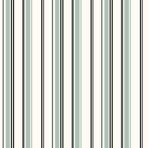 Stripes on Stripes Mint Sky 6x6