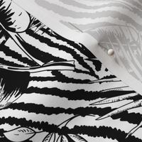 Exotic tropical leves on zebra texture