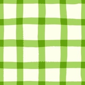 Spring Green Wonky  Hand Painted Gingham  300SM