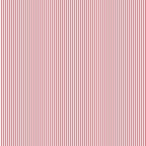 Stripe - Pink/White - 1/8”