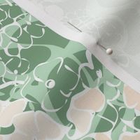 White Hydrangea on green - xl