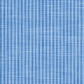 blue quarter inch stripe with linen texture