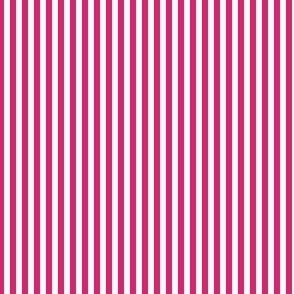 Candy Stripe 1/8" - 2202 micro // hot pink and white