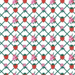 Sweet Strawberry Floral Lattice in White + Green