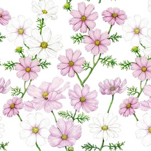 Cosmos Flowers Medium Scale Floral Print