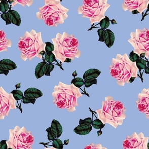 Scattered vintage roses sky blue - extra large