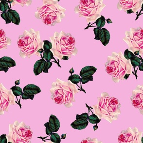 Scattered pink vintage roses candy pink - jumbo