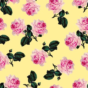 Scattered pink vintage roses yellow - jumbo