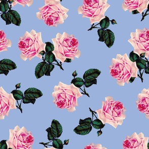 Scattered pink vintage roses sky blue - jumbo 