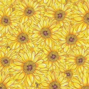 Good Vibes Happy Yellow Gerberas, floral, flowers, bright