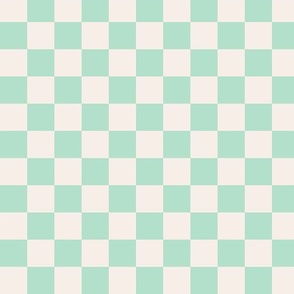 Mint checkerboard  Xs