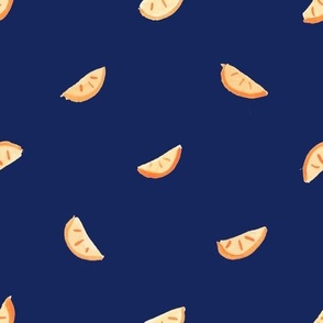 orange slices dark blue background