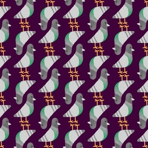 pigeons tight purple background