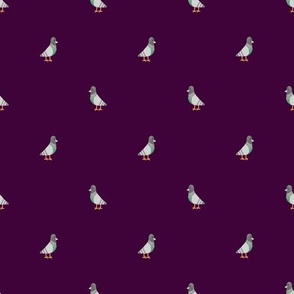 pigeons small purple background