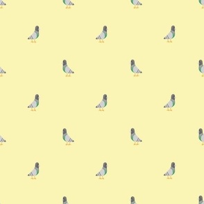 pigeons small yellow background