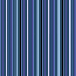 Delphiniums’ stripes 