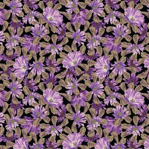 DESERT FLORAL - BLACK PURPLE SMALL