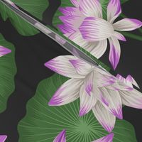 Lotus Floral - Black Large