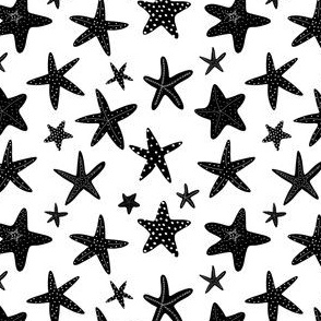starfish black 4x4
