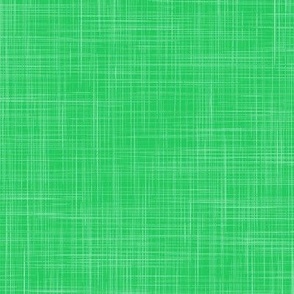 Crosshatch Linen Texture Blender in Grass Green