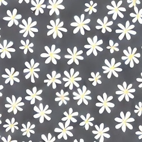 Daisies Gray