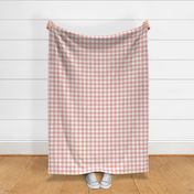 Pink And White Gingham