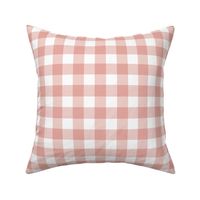 Pink And White Gingham