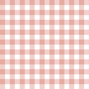 Pink And White Gingham