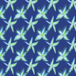 garden bedding - cold blue and green star flowers - modern abstract