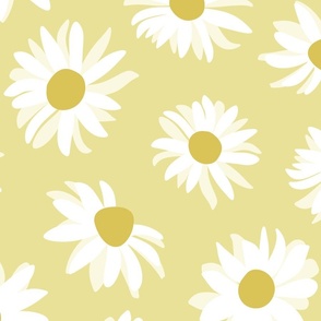 Yellow Daisy Flowers Wallpaper  Wallpaperforu