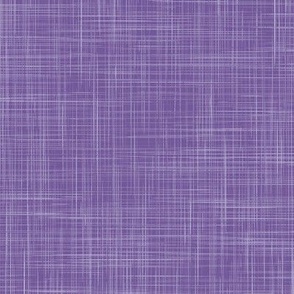 Crosshatch Linen Texture Blender in Grape Purple