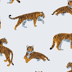 Tigers on a light blue background