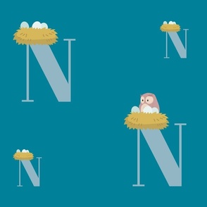 N is for Nest