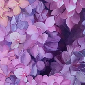 hydrangea flowers in pinks & mauves