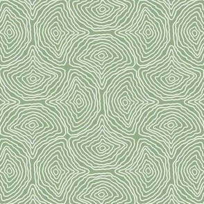 Sage Green Scallop Textured Coordinate