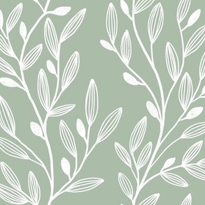 Climbing vines on a sage background