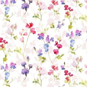 Watercolour sweet peas small 6inch