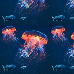 Jellyfish and stripes