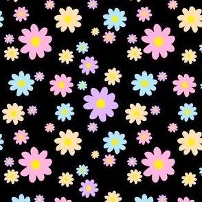 pastel daisy flowers black