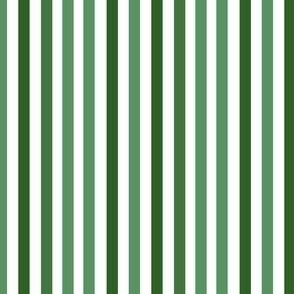 Bold Gradient Stripe Green, Small
