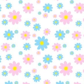 blue and pink daisy flowers