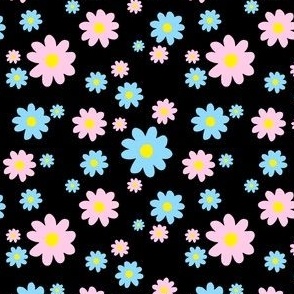 blue pink daisy flowers on black