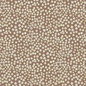 (S) Tiny quilting floral - small white flowers on Mocha brown - Petal Signature Cotton Solids coordinate